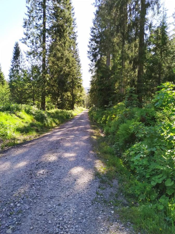 Ferienwohnung Feldberg - Residenz Grafenmatt المظهر الخارجي الصورة