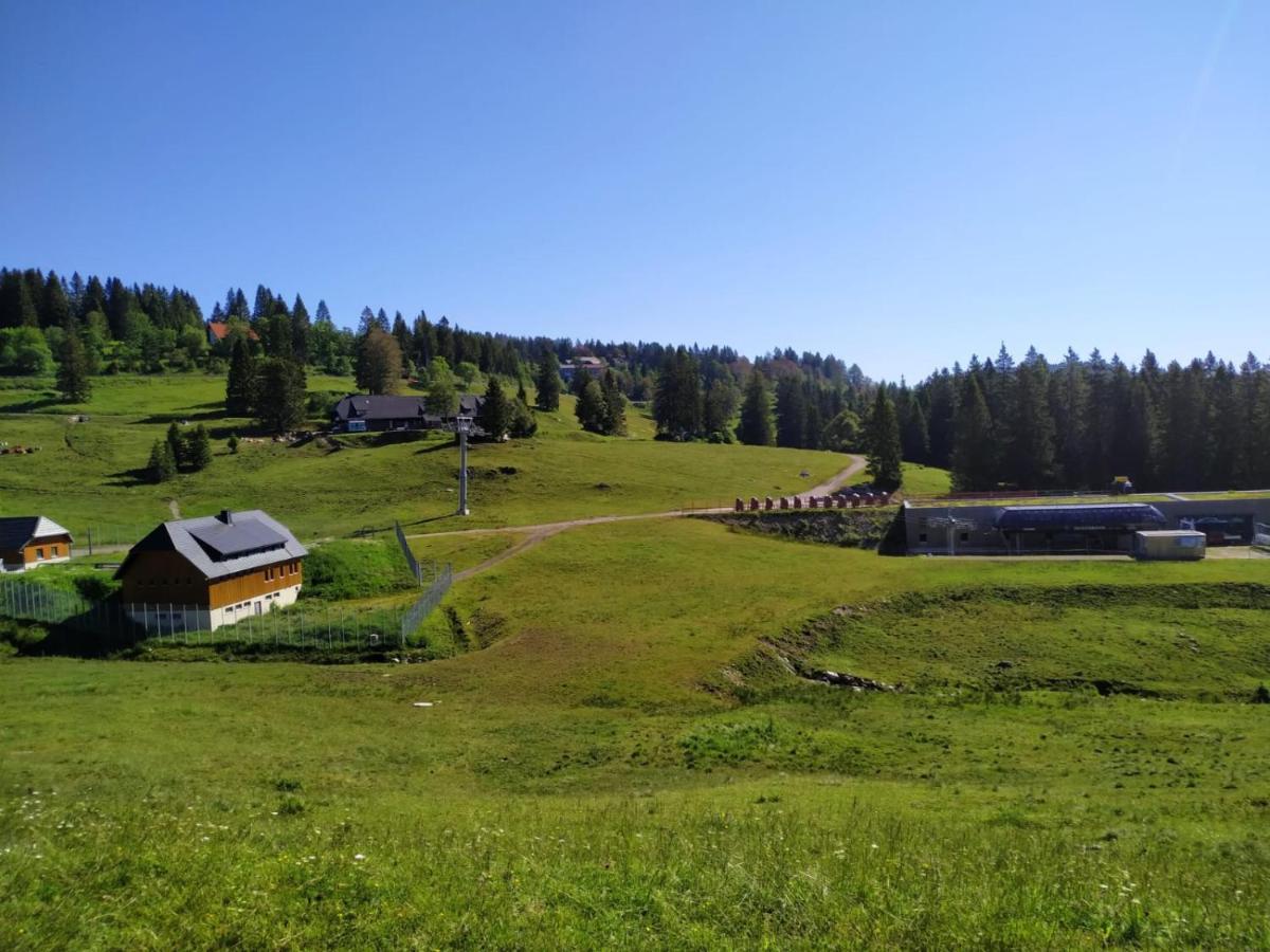 Ferienwohnung Feldberg - Residenz Grafenmatt المظهر الخارجي الصورة