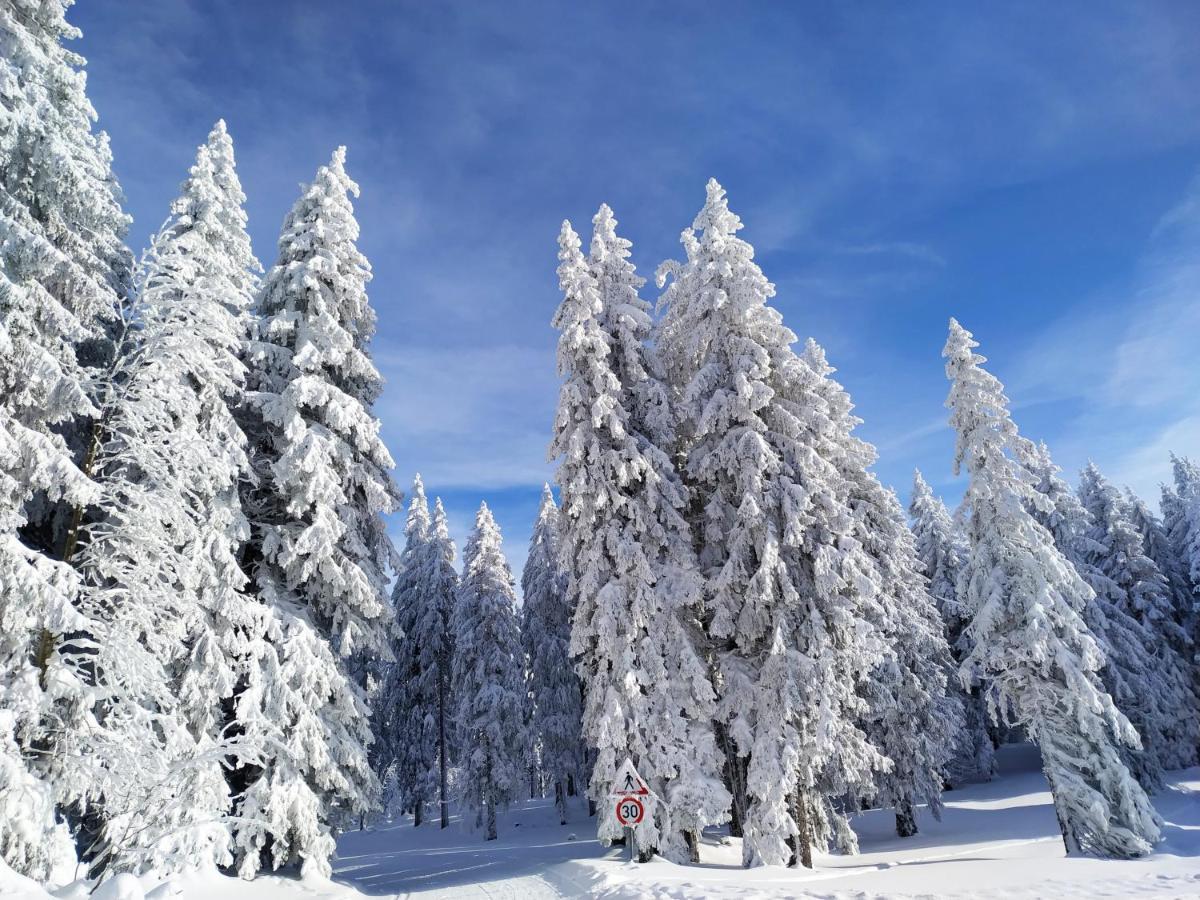 Ferienwohnung Feldberg - Residenz Grafenmatt المظهر الخارجي الصورة