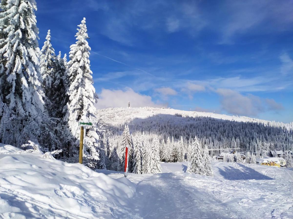Ferienwohnung Feldberg - Residenz Grafenmatt المظهر الخارجي الصورة
