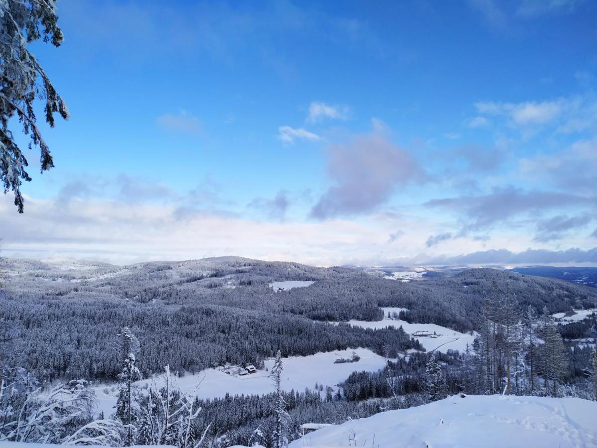 Ferienwohnung Feldberg - Residenz Grafenmatt المظهر الخارجي الصورة